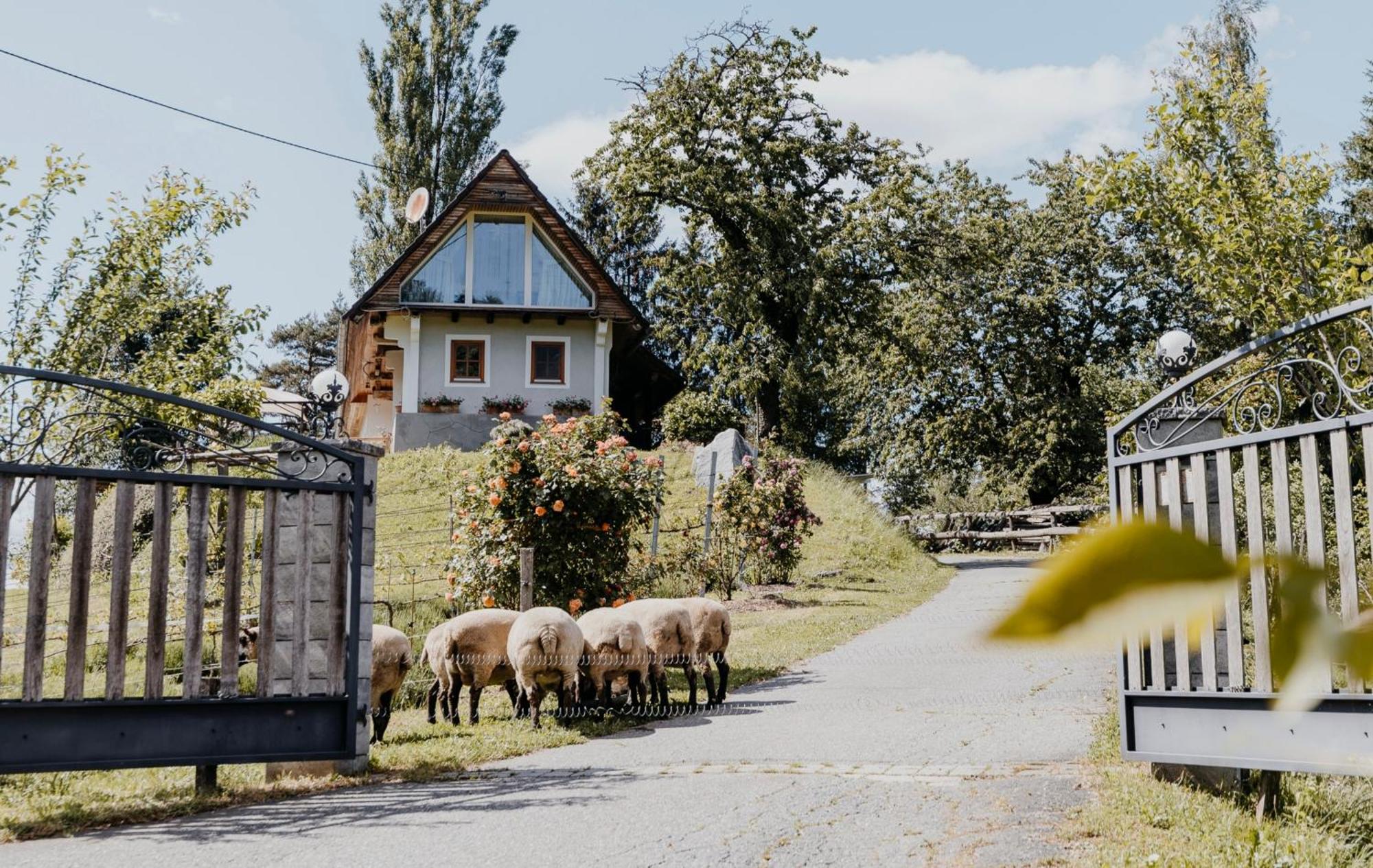 Ferienhaus Am Herbsthof Leutschach Esterno foto