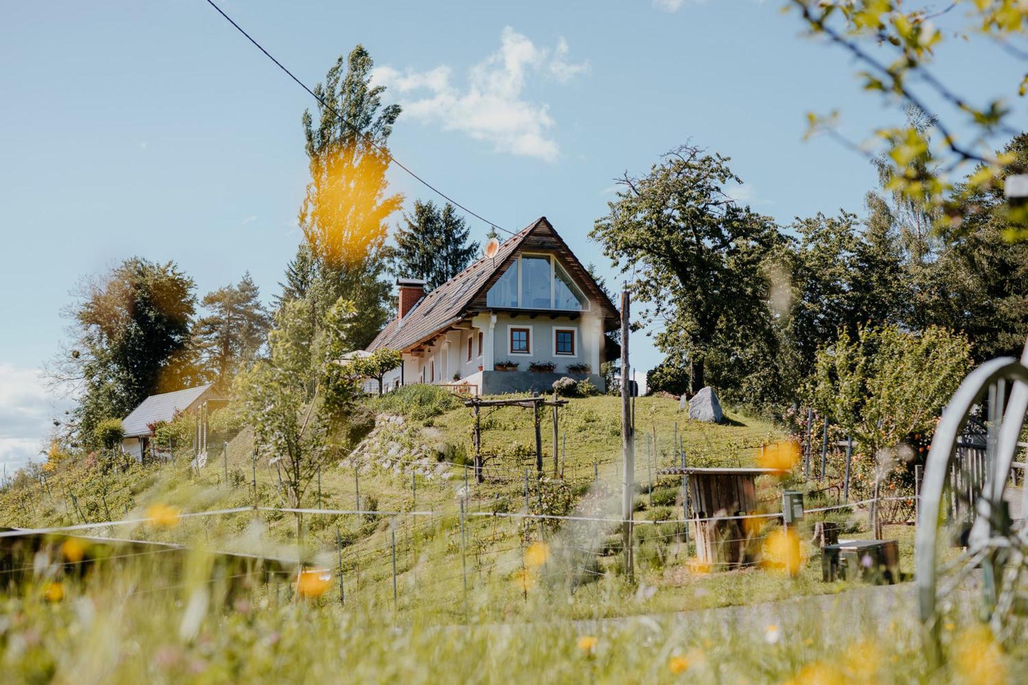 Ferienhaus Am Herbsthof Leutschach Esterno foto