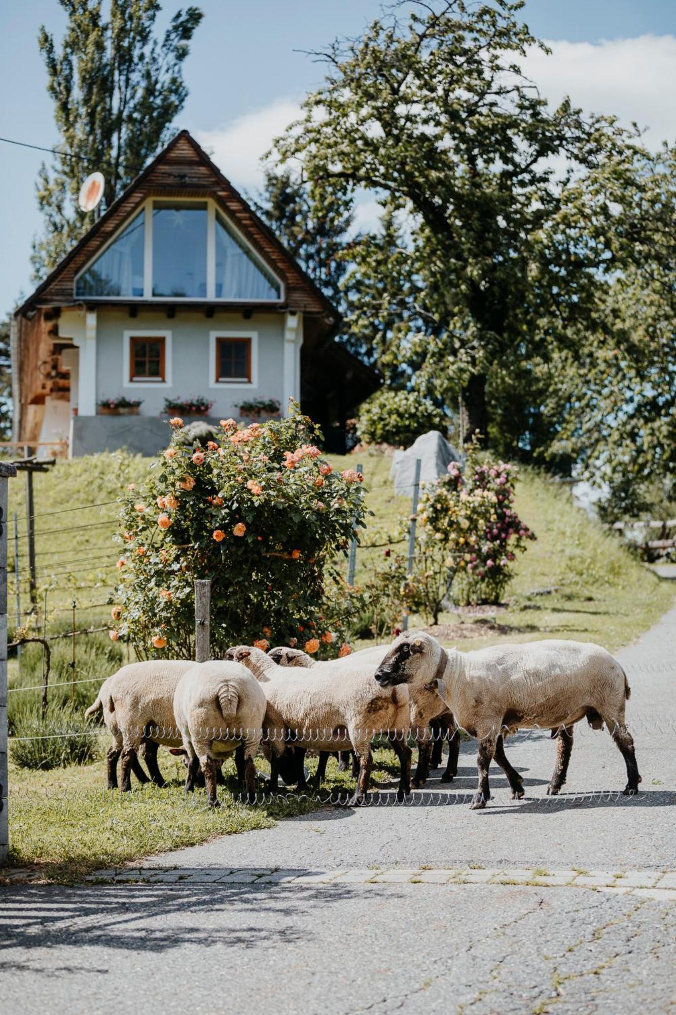 Ferienhaus Am Herbsthof Leutschach Esterno foto