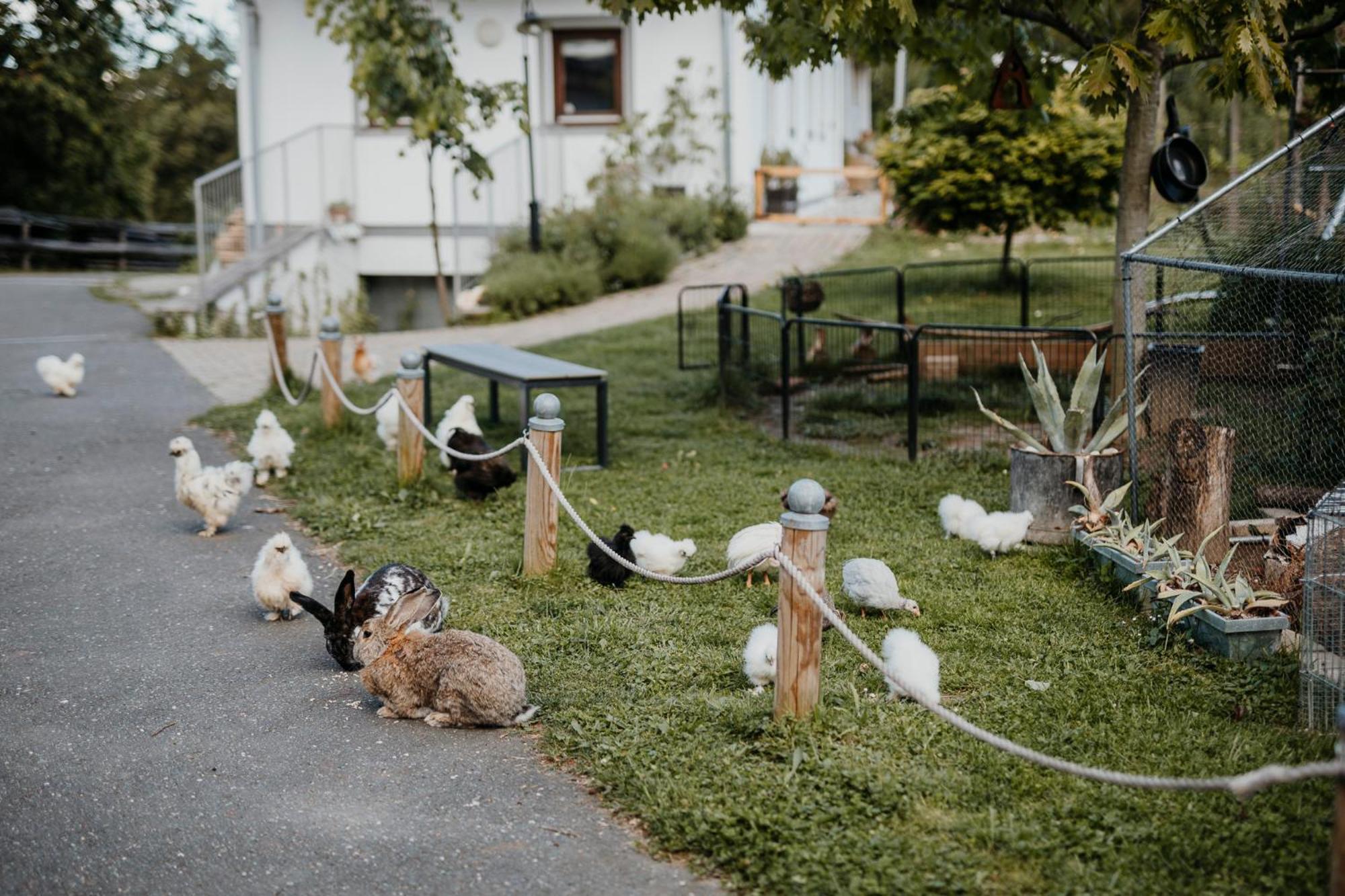Ferienhaus Am Herbsthof Leutschach Esterno foto