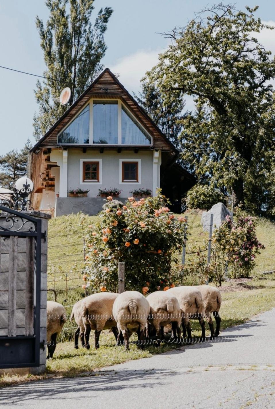 Ferienhaus Am Herbsthof Leutschach Esterno foto